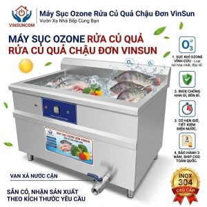 Máy Sục Ozone Chậu Đơn 1M5 Rửa Củ Quả Công Nghiệp VinSun Máy Sục Ozone Chậu Đơn 1M5 Rửa Củ Quả Công Nghiệp VinSun